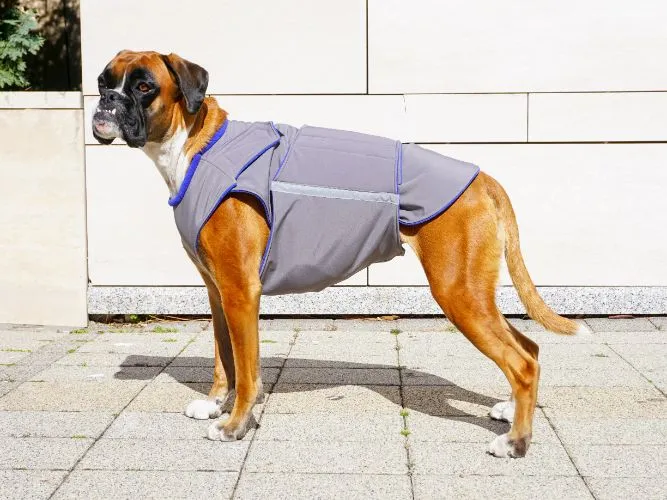 BOXER SOFTSHELL DOG COAT / MADE TO ORDER