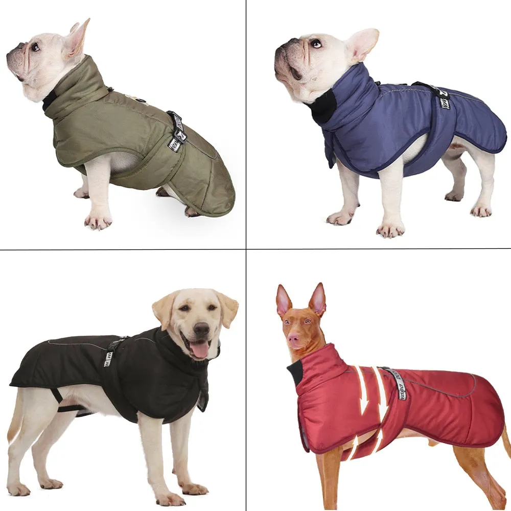 Dog Jacket Windproof Weatherproof Winter Warm Sizes 35-76cms