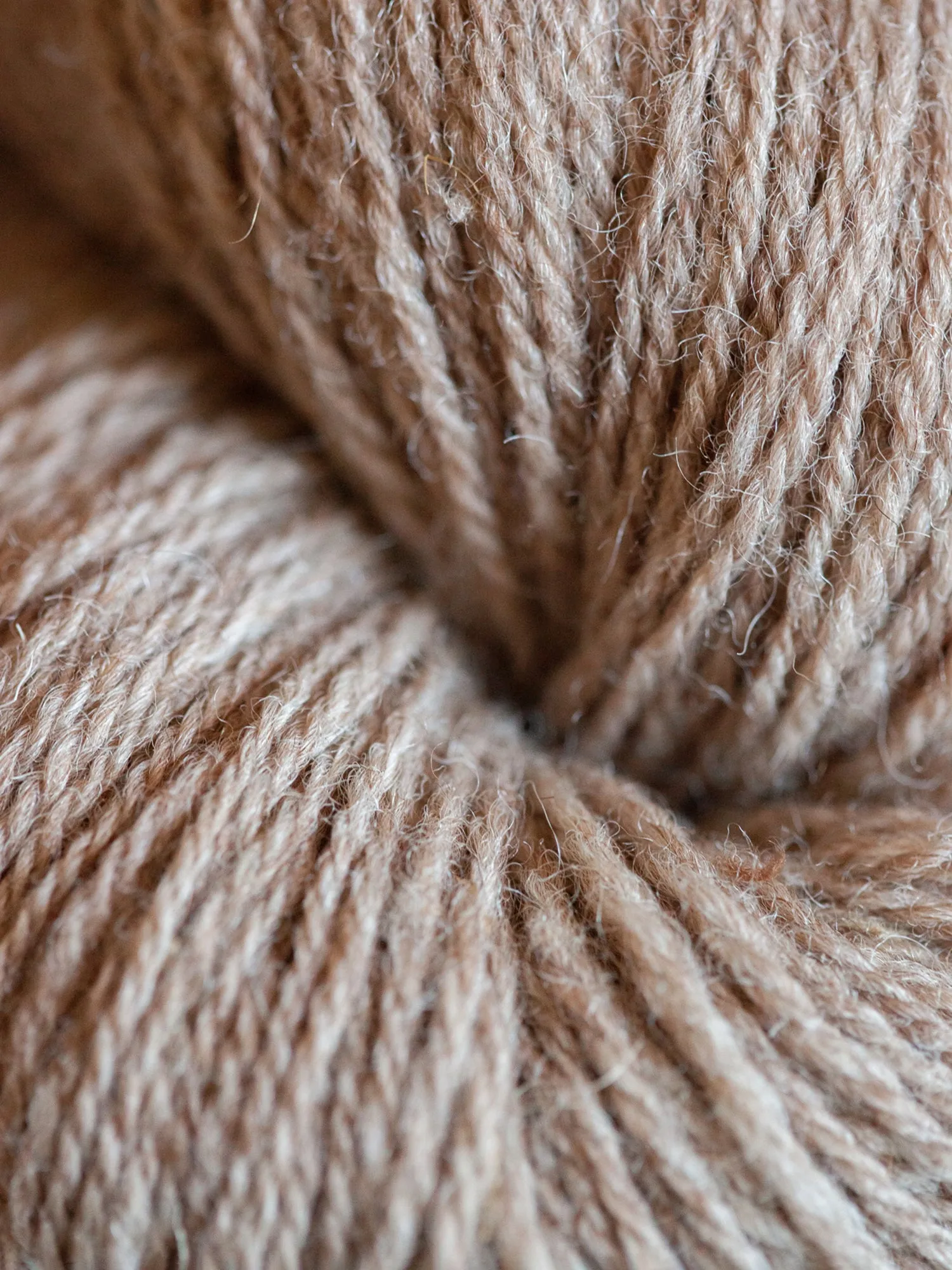 Milkshake Sport <br><small>east friesian milk wool & alpaca</small>