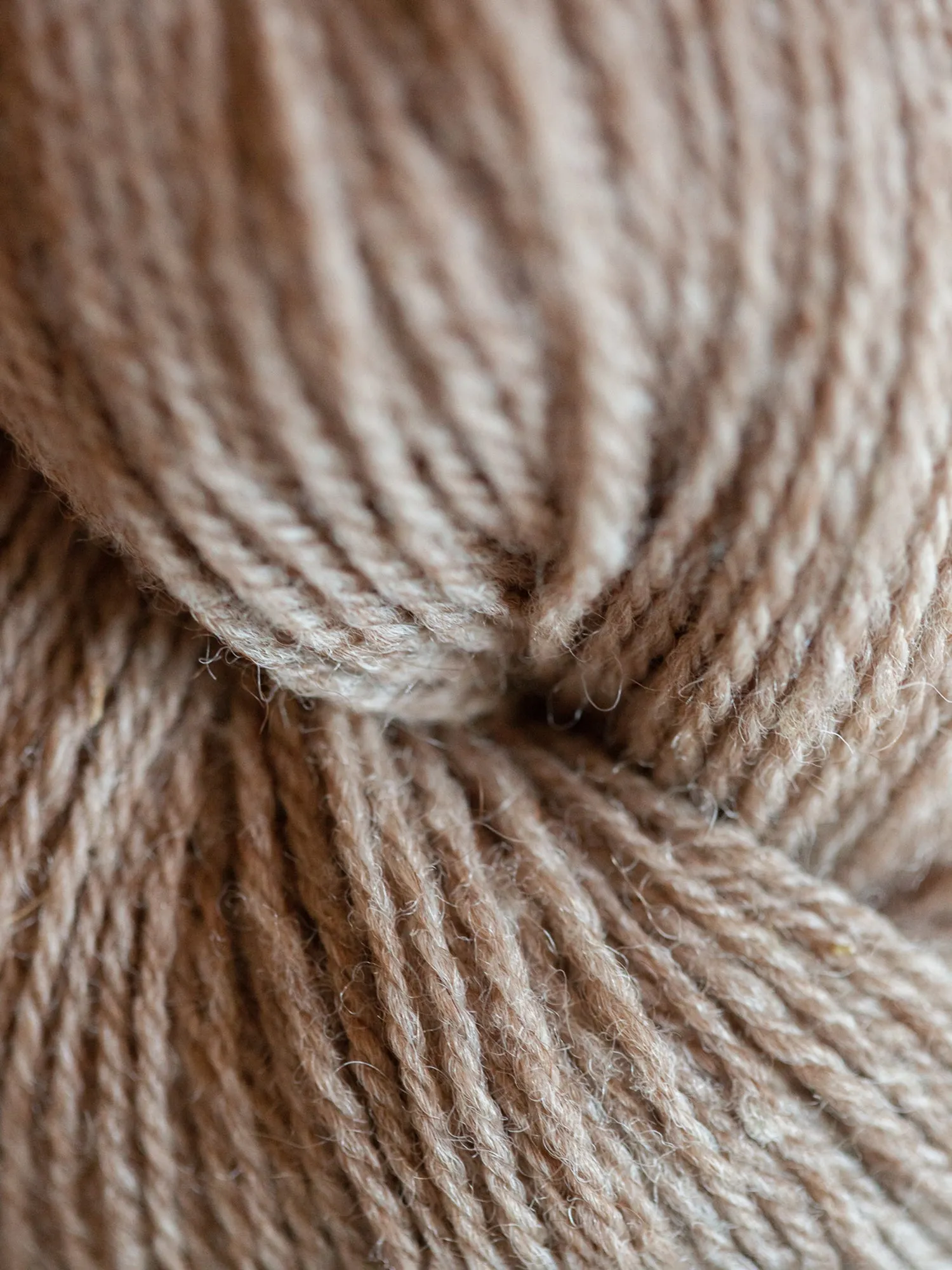 Milkshake Sport <br><small>east friesian milk wool & alpaca</small>