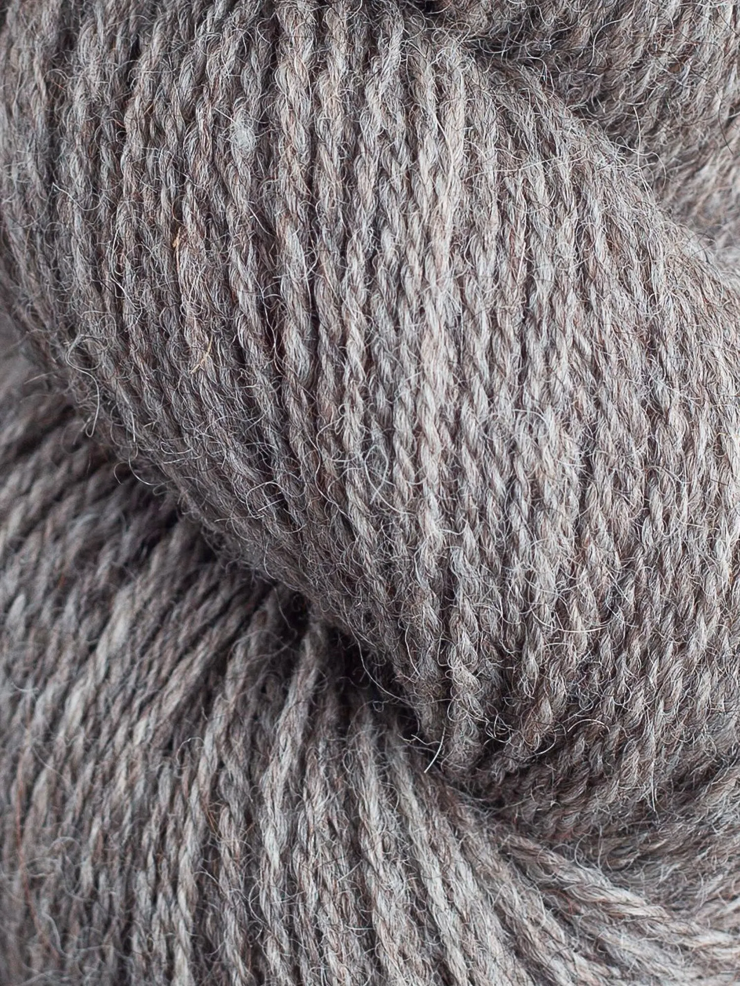 Milkshake Sport <br><small>east friesian milk wool & alpaca</small>