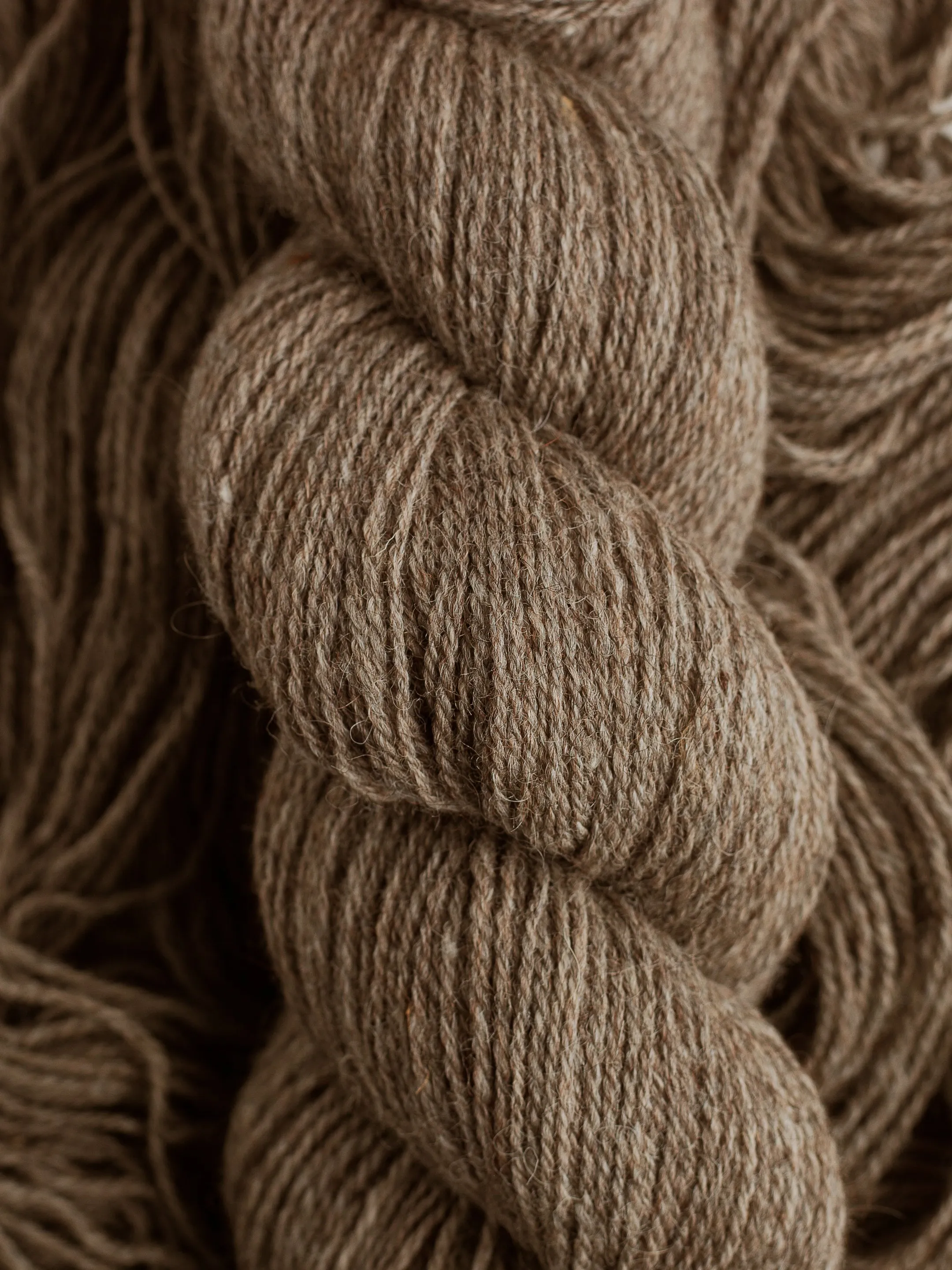 Milkshake Sport <br><small>east friesian milk wool & alpaca</small>