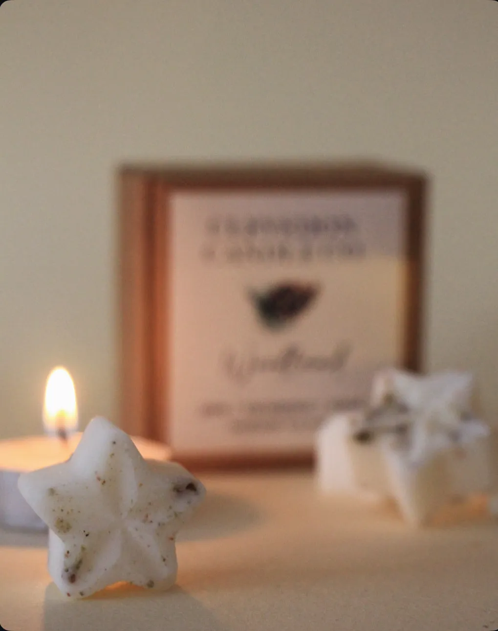 Woodland - Christmas Wax Melts